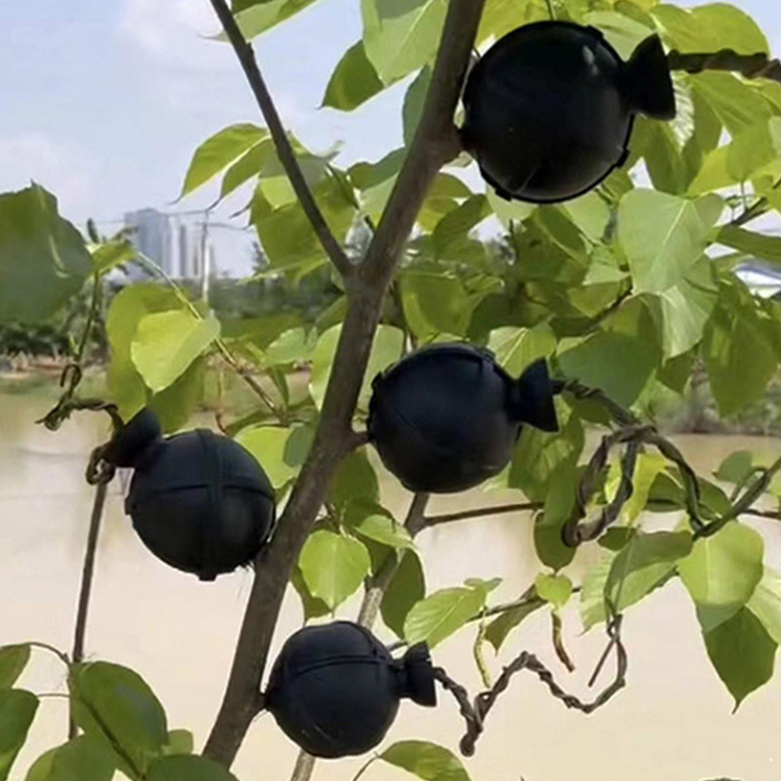 Garden Orchard Plants Grafting - Rooting Gel Clone のレビューと価格