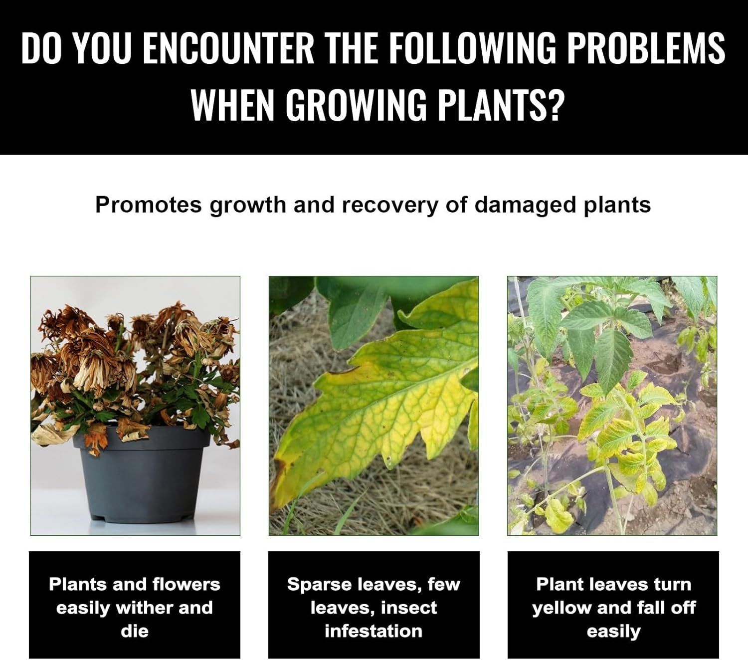 Liquid Plant Growth Enhancers  - Root Stimulator Liquid のレビューと価格