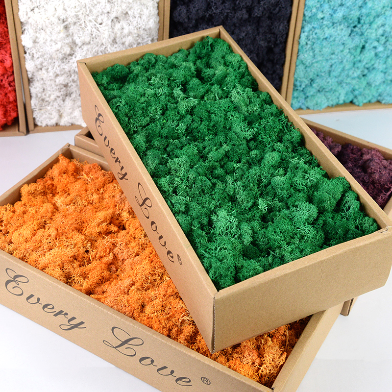 40/20g Artificial Moss Grass G - Sphagnum Moss Dry のレビューと価格