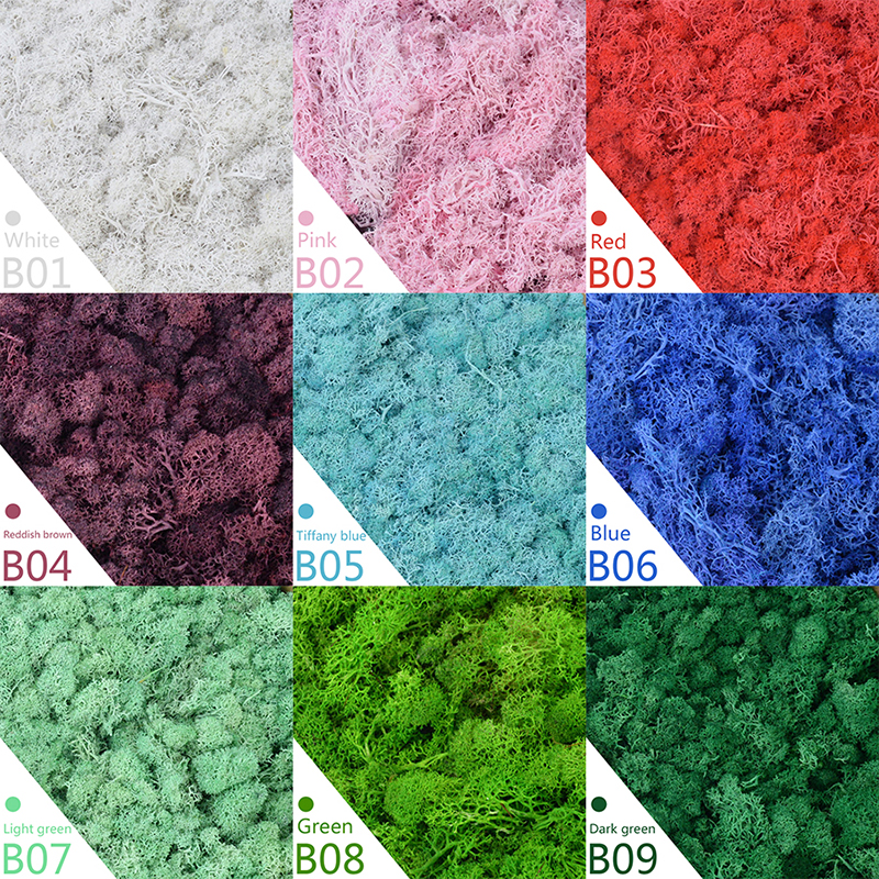40/20g Artificial Moss Grass G - Sphagnum Moss Dry のレビューと価格
