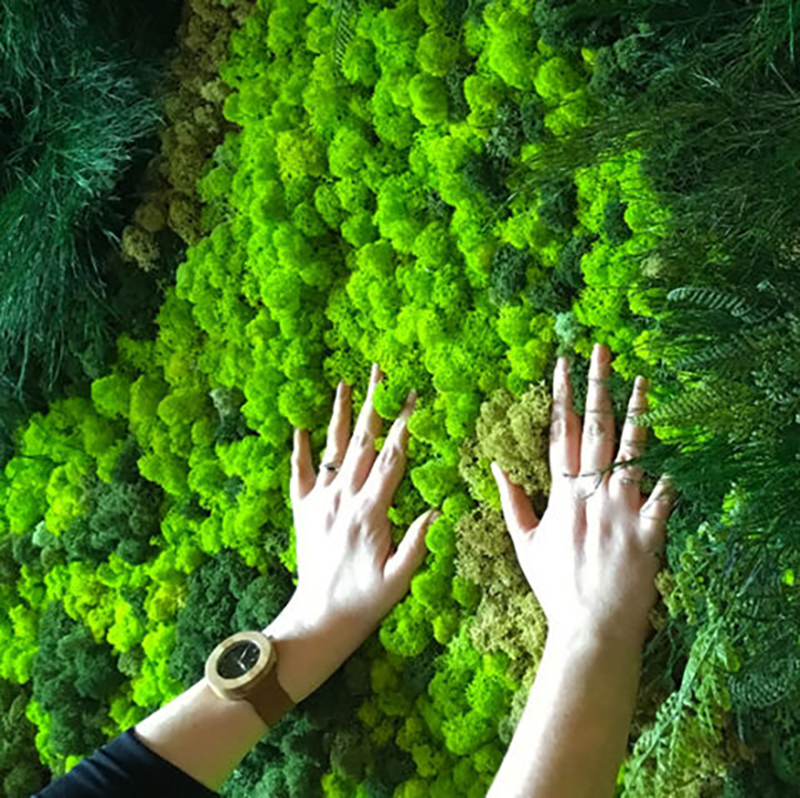 40/20g Artificial Moss Grass G - Sphagnum Moss Dry のレビューと価格