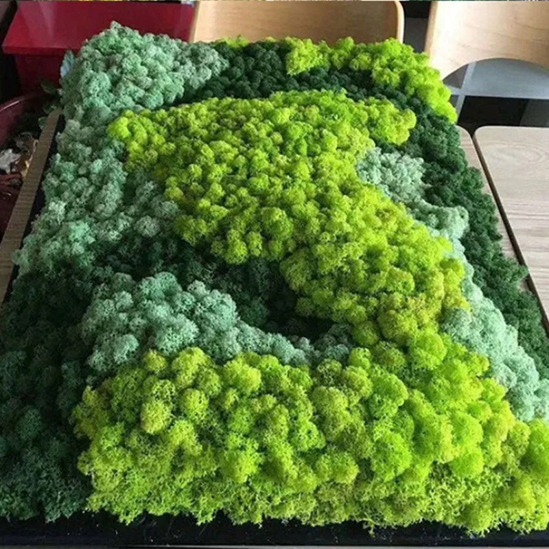40/20g Artificial Moss Grass G - Sphagnum Moss Dry のレビューと価格