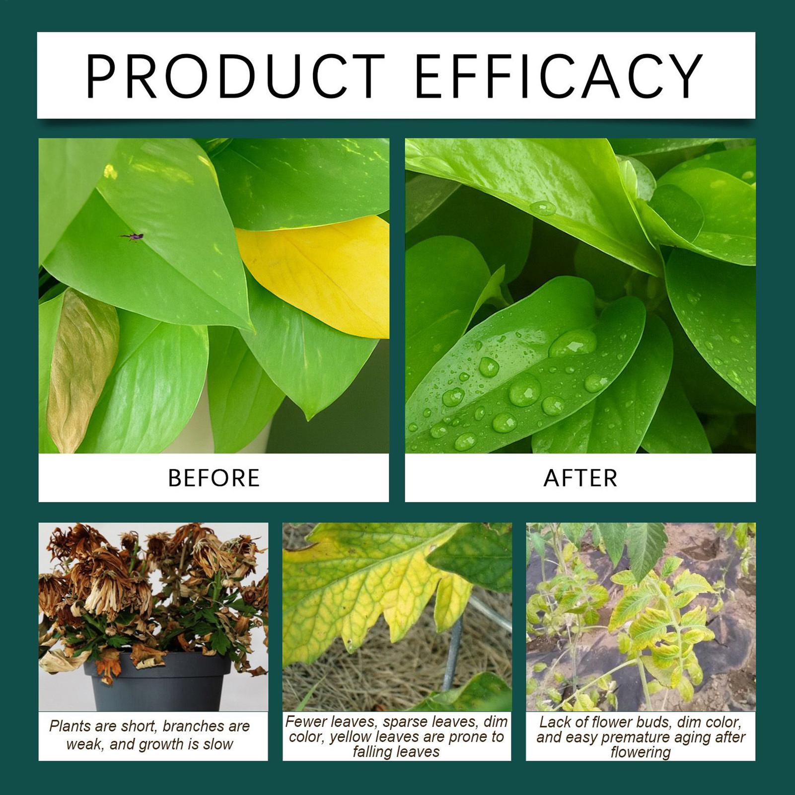100ml Plant Rooting Liquid Dro - Root Stimulator Liquid のレビューと価格